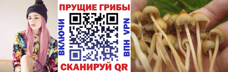 Псилоцибиновые грибы GOLDEN TEACHER  Сланцы 