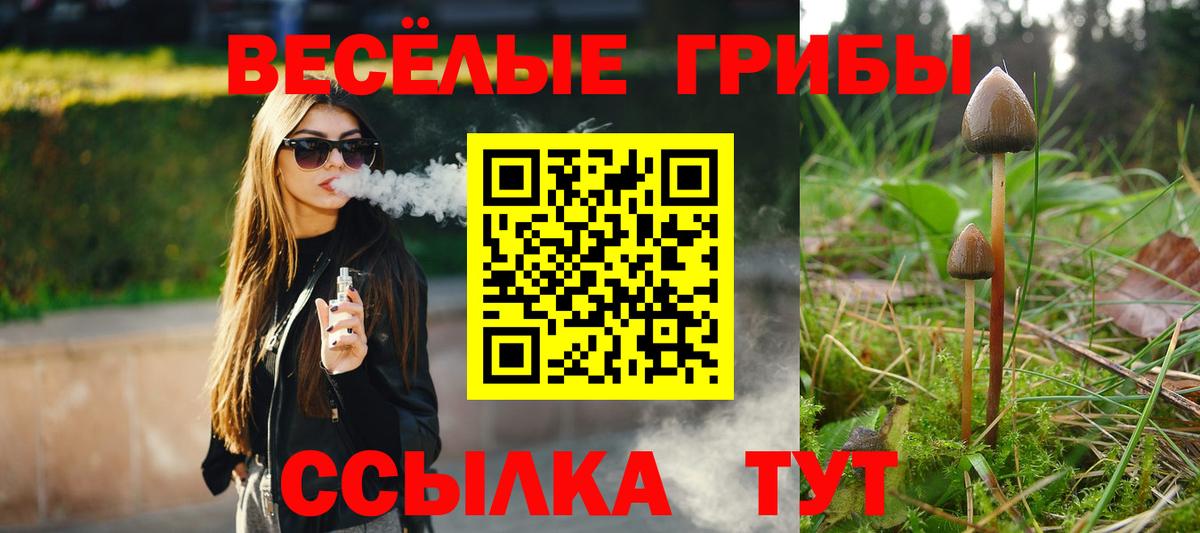 Псилоцибиновые грибы GOLDEN TEACHER  Вход с VPN  Сланцы  Псилоцибиновые грибы мицелий 