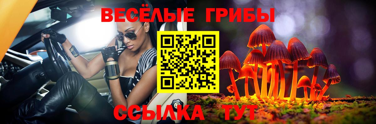 Псилоцибиновые грибы мицелий Сланцы