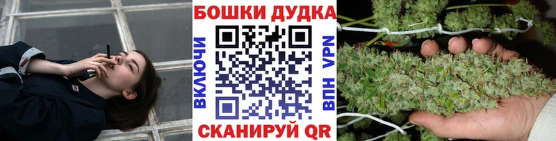 Конопля ГИДРОПОН мориарти как зайти Сланцы